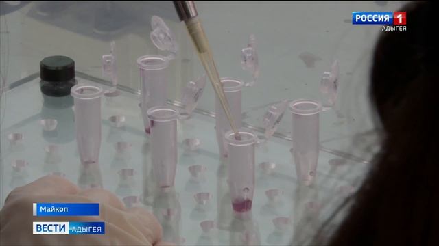 Студенческие научно-исследовательские коллективы АГУ представили результаты работы смотреть онлайн