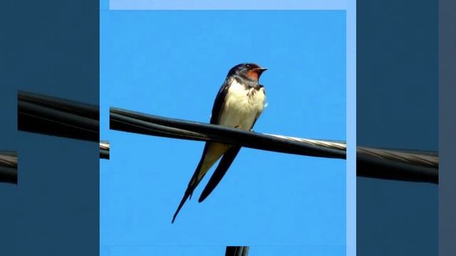 Это интересно-14