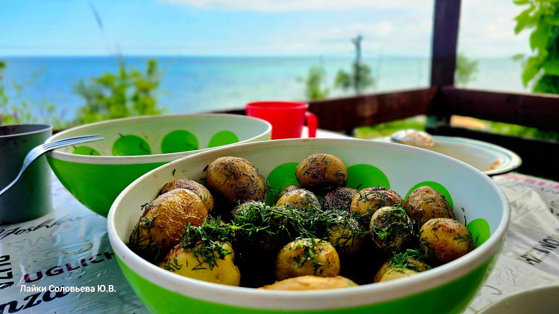 Обед на берегу чёрного моря