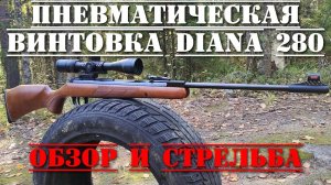 Диана 280 ТОЧНАЯ пневматическая винтовка ОБЗОР и СТРЕЛЬБА Diana 280