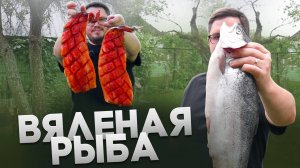 Находка для рыбаков – Вяленая рыба в сушилке для фруктов и овощей