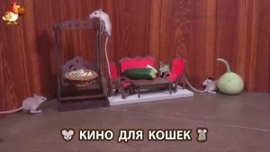 Видео для кошек про крысок развлекать питомцев 🐭🐀😂 (176)