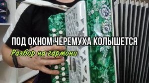 "Под окном черёмуха колышется" РАЗБОР на гармони. Сыграет каждый! #гармонь #разборнагармони
