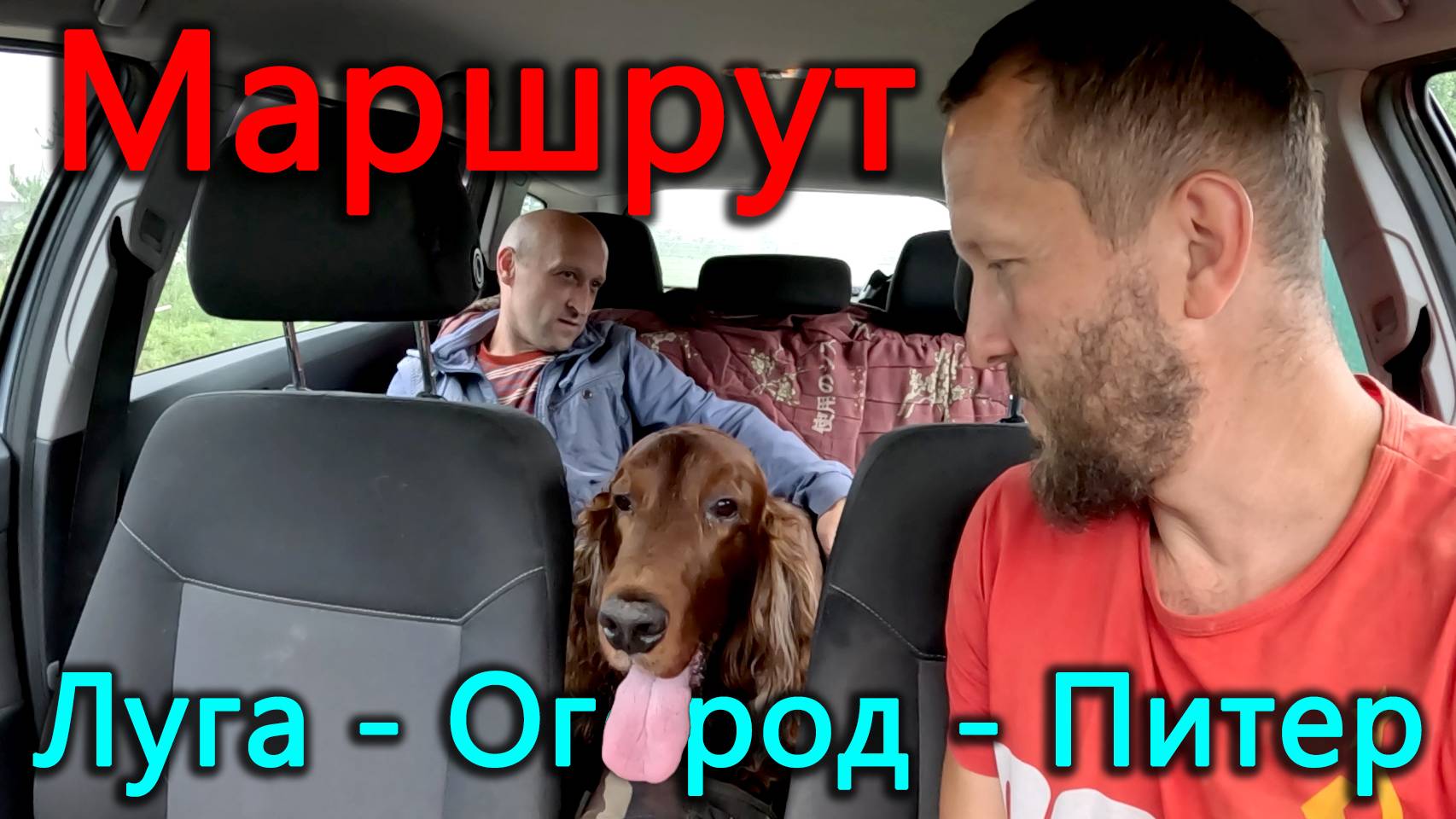 Отвезли лохмача в Лугу на стрижку, вернулись окучать огород и отремонтировать авто, и сразу обратно. смотреть онлайн