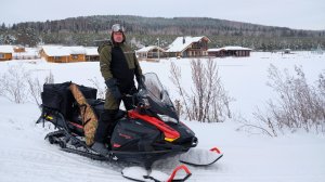 ОЛИГАРХИ на ОХОТЕ по КАБАНУ. Тысяча кабанов в хозяйстве. Яки, лани, маралы, благ