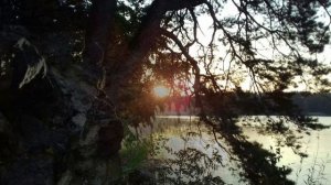 "@" Keiko Matsui. Midnight Stone. Accordion (cover).