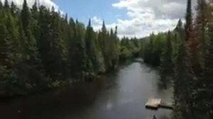 Забираем_Силу_Назад_убираем_негативные_воспоминания_Александр_Феклистов