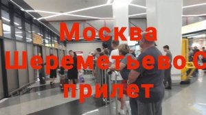 Прилетели в Шереметьево С. Что дальше?  Автобус, аэроэкспресс, такси Обзор Аэропорт