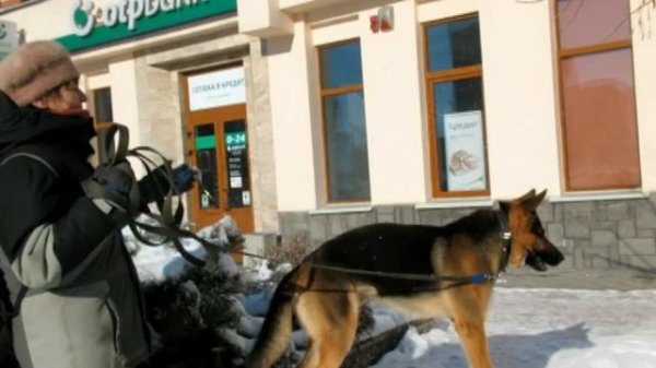 Летающий Чен (Flying Cheng)