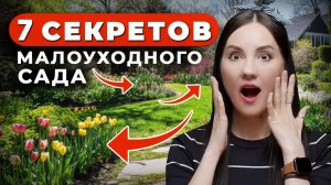 ПУСТЬ СОСЕДИ ОБЗАВИДУЮТСЯ! 7 советов, как сделать малоуходный сад на участке