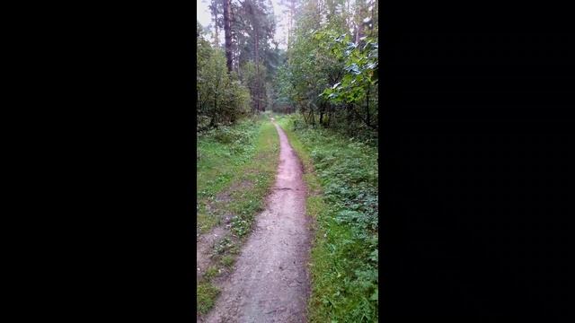 Август 2021. Видео-зарисовка. Природа и музыка. смотреть онлайн