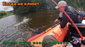 Когда не клюет. Ловля щуки после нереста на озере