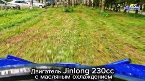 Багги Tiger FX230 UTV