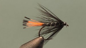 Мокрая мушка Black Pennell Как связать от GM FLY