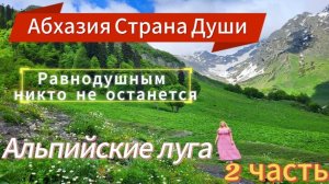 АБХАЗИЯ 2025🌴Самый классный водитель😊 Он привёз нас в рай/ Почему я Абхазоманка?Выпьем за мир🙏
