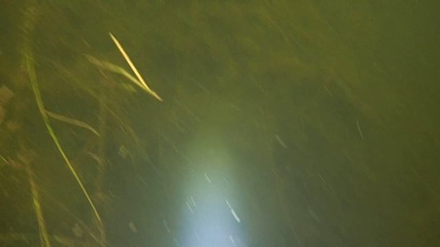 размочил костюм сезон открыт смотреть онлайн