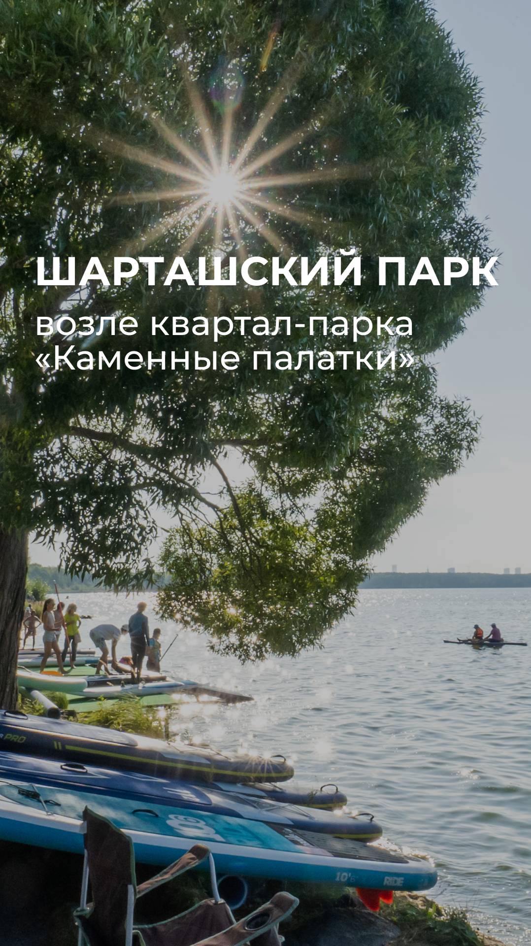 С виду просто лес… но внутри парк Альпак и целый город развлечений!