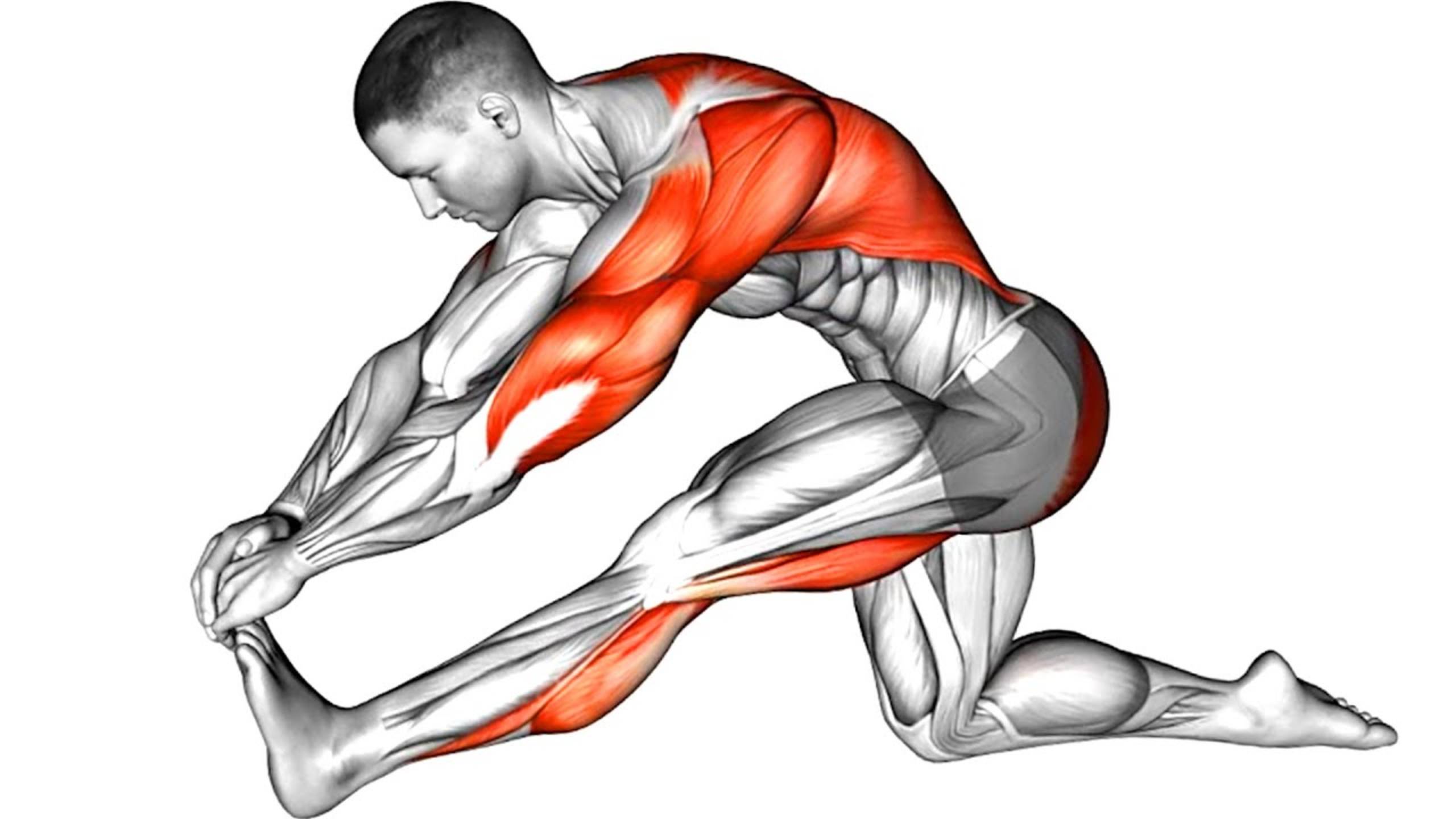 7 лучших Беговых Растяжек смотреть онлайн