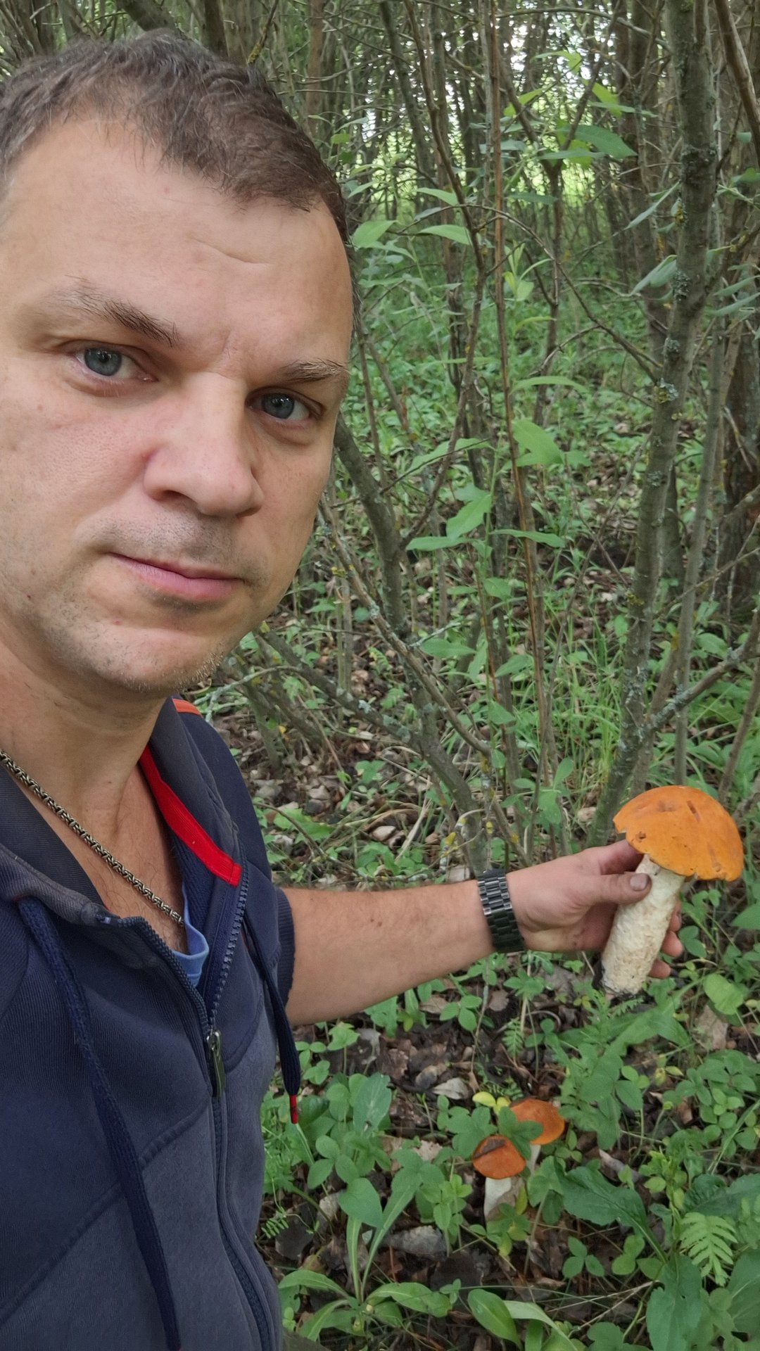 Дофига грибов. Тихая охота