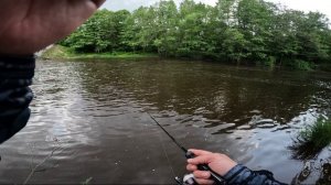 У  меня был TELETEN и пол часа времени😎😎😎 #мормышинг #спиннинг