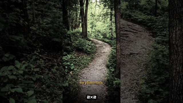 Рассказываем про Юрия Норштейна! смотреть онлайн