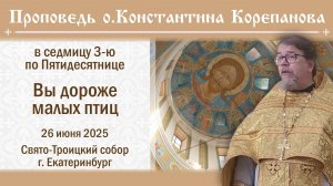 Вы дороже малых птиц. Проповедь священника Константина Корепанова (26.06.2025)