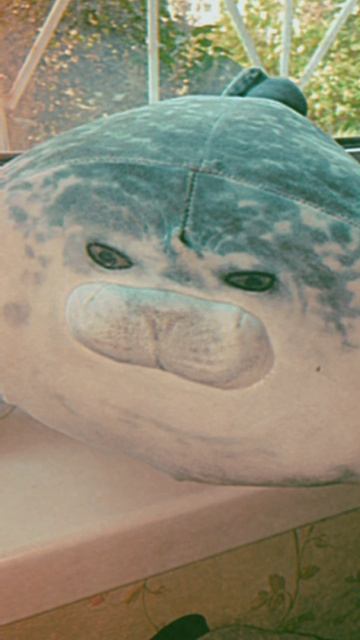 мне этот мир абсолютно понятен Я ищу только одного покоя...