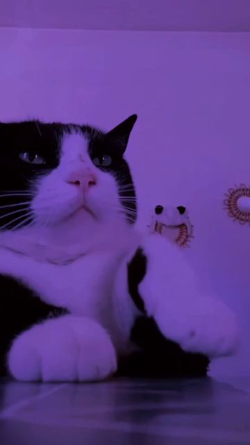 4890239684107154365 смотреть онлайн