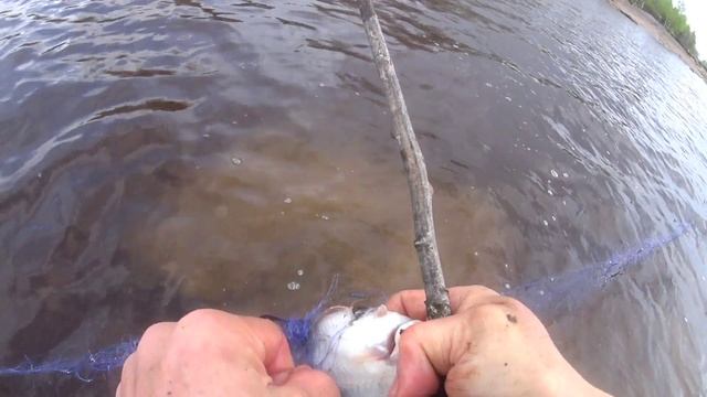 2-Я Проверка сеток.Устал рвать и выпутывать Морскую рыбу!Это я давненько так не заходил смотреть онлайн