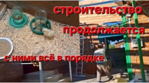 567 🏠 Жизнь на Кубани. Строительство продолжается Вся станица осталась без воды.У них всё в порядк