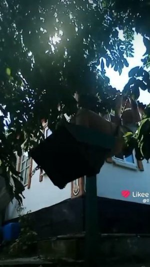 Like_2025-06-26-14-14-53.mp4