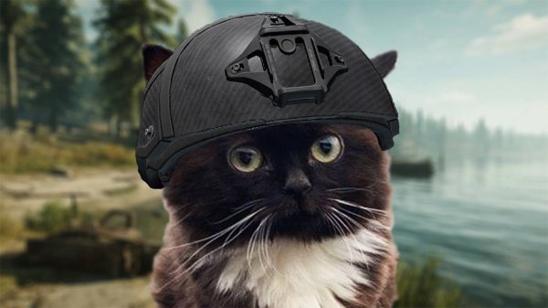 CUMБЭК ГОДА В ТАРКОВЕ