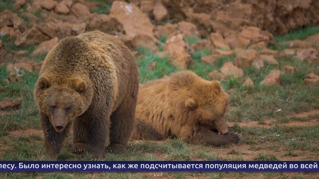 Обнинские новости (за 27 июня 2025) смотреть онлайн