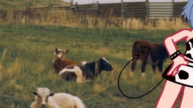 Описание съел мой пёс верный смотреть онлайн