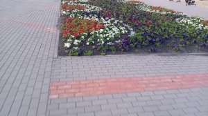 Парк, цветочки 27-06-2025
