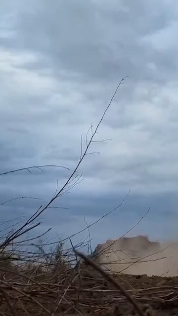 Мощь в живую смотреть онлайн