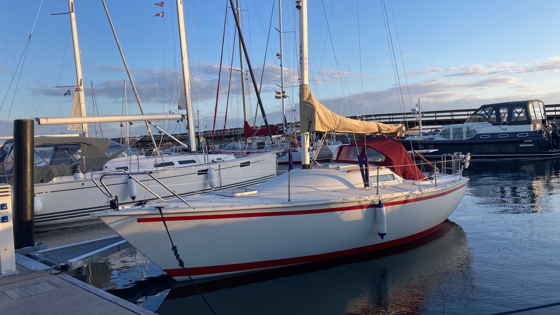 Albin CIRRUS 7.8 (ALBIN MARINE)
