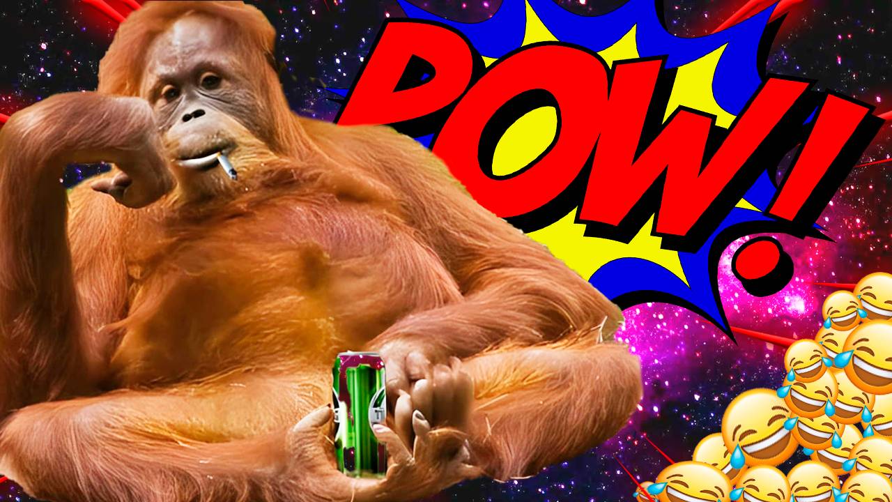 ЛУЧШИЕ ПРИКОЛЫ ИЮНЬ 2025 | ПОПРОБУЙ НЕ ЗАСМЕЯТЬСЯ | ТЕСТ НА ПСИХИКУ | РЖАКА ДО СЛЕЗ смотреть онлайн