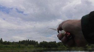 27.06. 25 г. показал Карасям новую удилку (Херабуна) 3,9 м. строй 19.