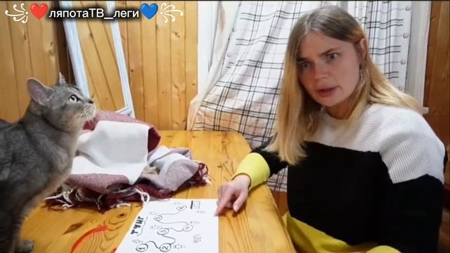 Тун Тун Тун Тун Тун Тун Саур 🏏перезалив школа сладуна🐞 смотреть онлайн