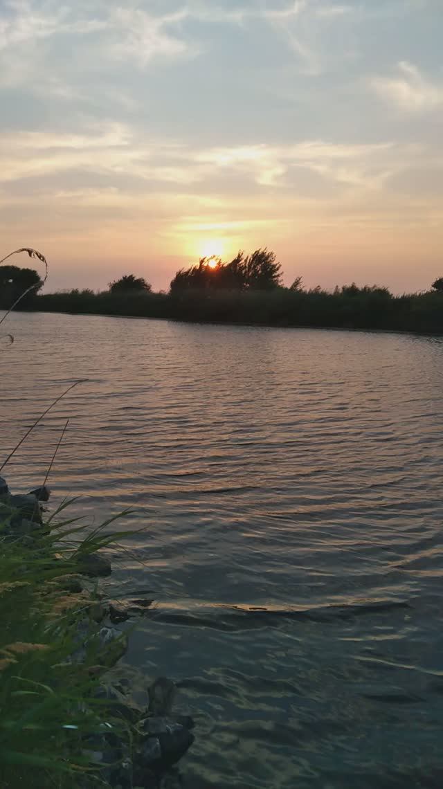 итоговый улов