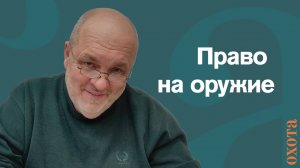 Право на оружие. Валерий Кузенков о владении оружии после преступлений.