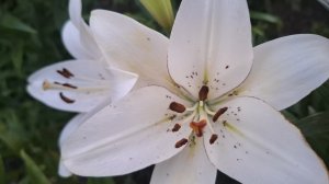 Начало положено. 🤗 Сломали старую прихожую. Омлет в духовке.