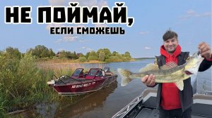 Гайдинг. Как поймать судака, держа спиннинг второй раз в жизни.