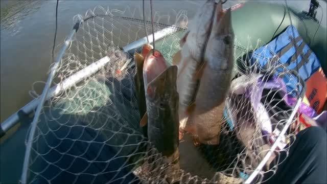 Трейлер, Охота на щук. смотреть онлайн