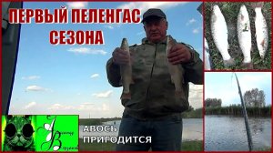 Первый пеленгас сезона. А порыбалимка 4-й выпуск 25г.