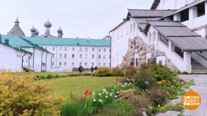 Приехать на Соловки и влюбиться в них навсегда! Доброе утро. Фрагмент выпуска от 27.06.2025