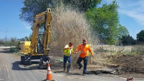 #51 Я РЖАЛ ДО СЛЕЗ 😂 15 МИНУТ СМЕХА 2025 СМЕШНЫЕ ВИДЕО😆😆😆ЛУЧШИЕ ЛЮТЫЕ ПРИКОЛЫ / АКАДЕМИЯ ЮМОРА смотреть онлайн