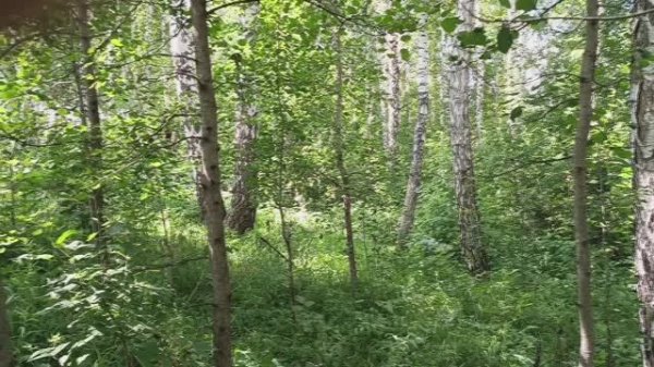 The beauty and harmony of nature.