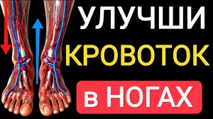 Улучши кровообращение в ногах за 20 минут / Упражнения для второго сердца